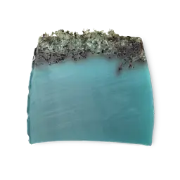 LUSH Sea Vegetable Soap