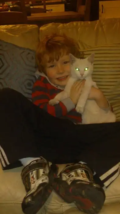 mikey420x's avatar